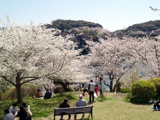 西海橋