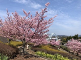 西海橋